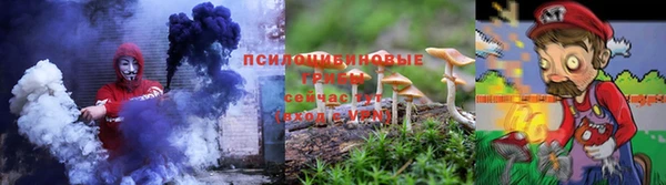 прущие грибы Алзамай