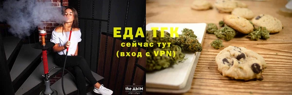 хмурый Алексин
