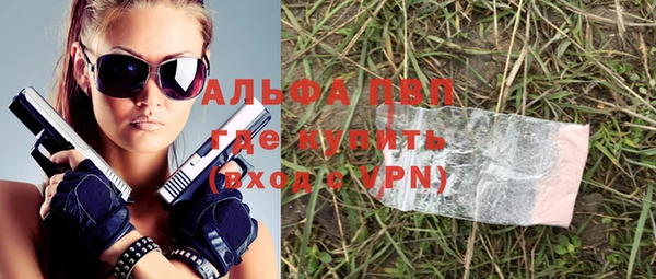 хмурый Алексин