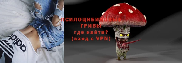 прущие грибы Алзамай