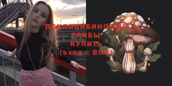 гидра Алексеевка