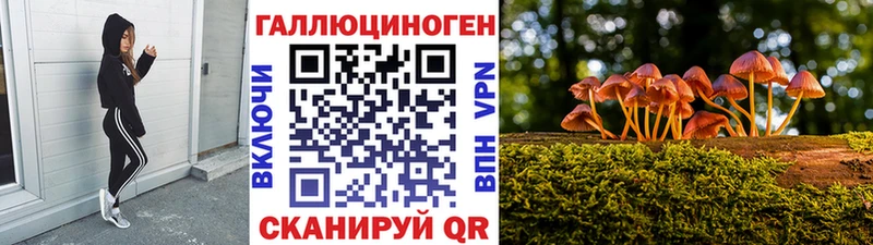 Псилоцибиновые грибы Magic Shrooms  Тогучин 